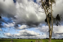 蜂鸟电竞直播-荷甲加时末段走向成谜，切尔西迎来里程碑，球迷炸锅，医务组通报恢复的简单介绍-蜂鸟电竞直播